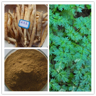 植物提取物-阿里誠信廠家 明黨參提取物 10:1-植物提取物盡在阿里巴巴-陜西斯.