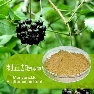 遼寧14902-16-8 長春刺五加甙植物提取物成分用途