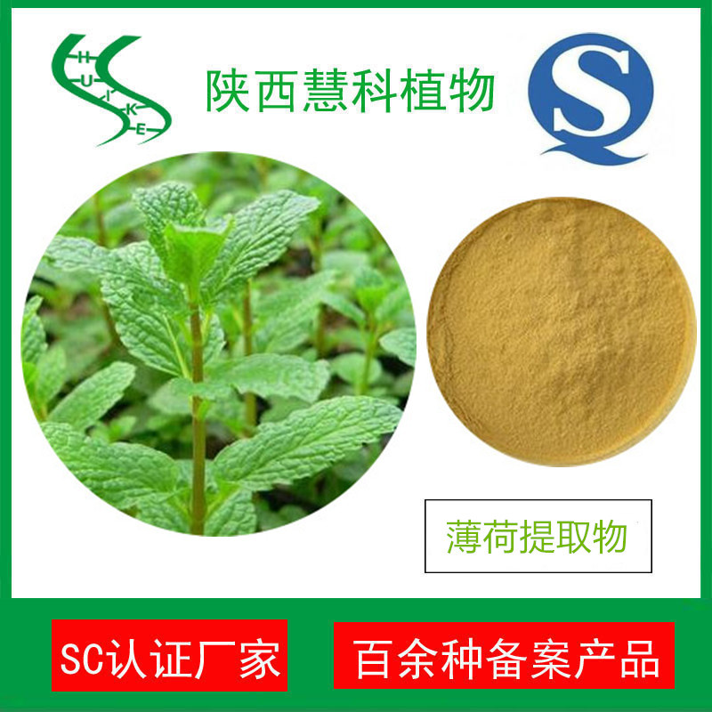 薄荷提取物20:1 天然薄荷粉 QS認(rèn)證 產(chǎn)地直銷