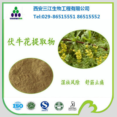 植物提取物-伏牛花提取物 4:1 天然提取 廠家直銷 開票包郵 低價(jià)銷售-植物提.