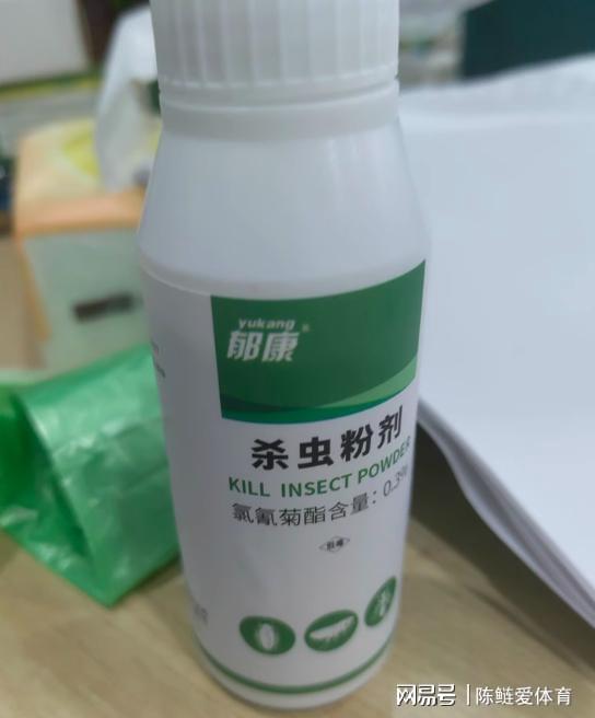 家里有潮蟲怎么辦？植物提取物助你徹底清除