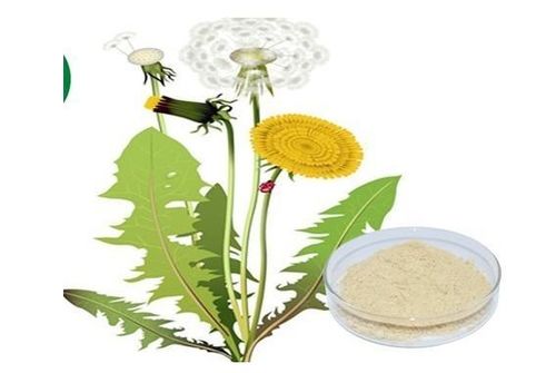 植物提取物加盟 費(fèi)用構(gòu)成、盈利前景與開店成本解析