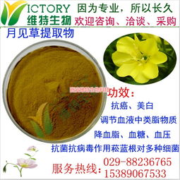 月見草提取物限時(shí)促銷，西安維特生物科技為您帶來純正植物精華