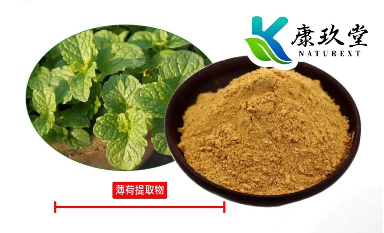 植物提取物 自然饋贈(zèng)的綠色寶藏