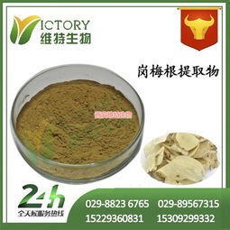 解鎖新資源食品潛力 植物提取物OEM代加工與優(yōu)惠價(jià)格解析